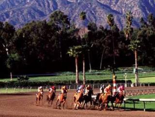 Santa Anita is the venue for this year's Breeders' Cup